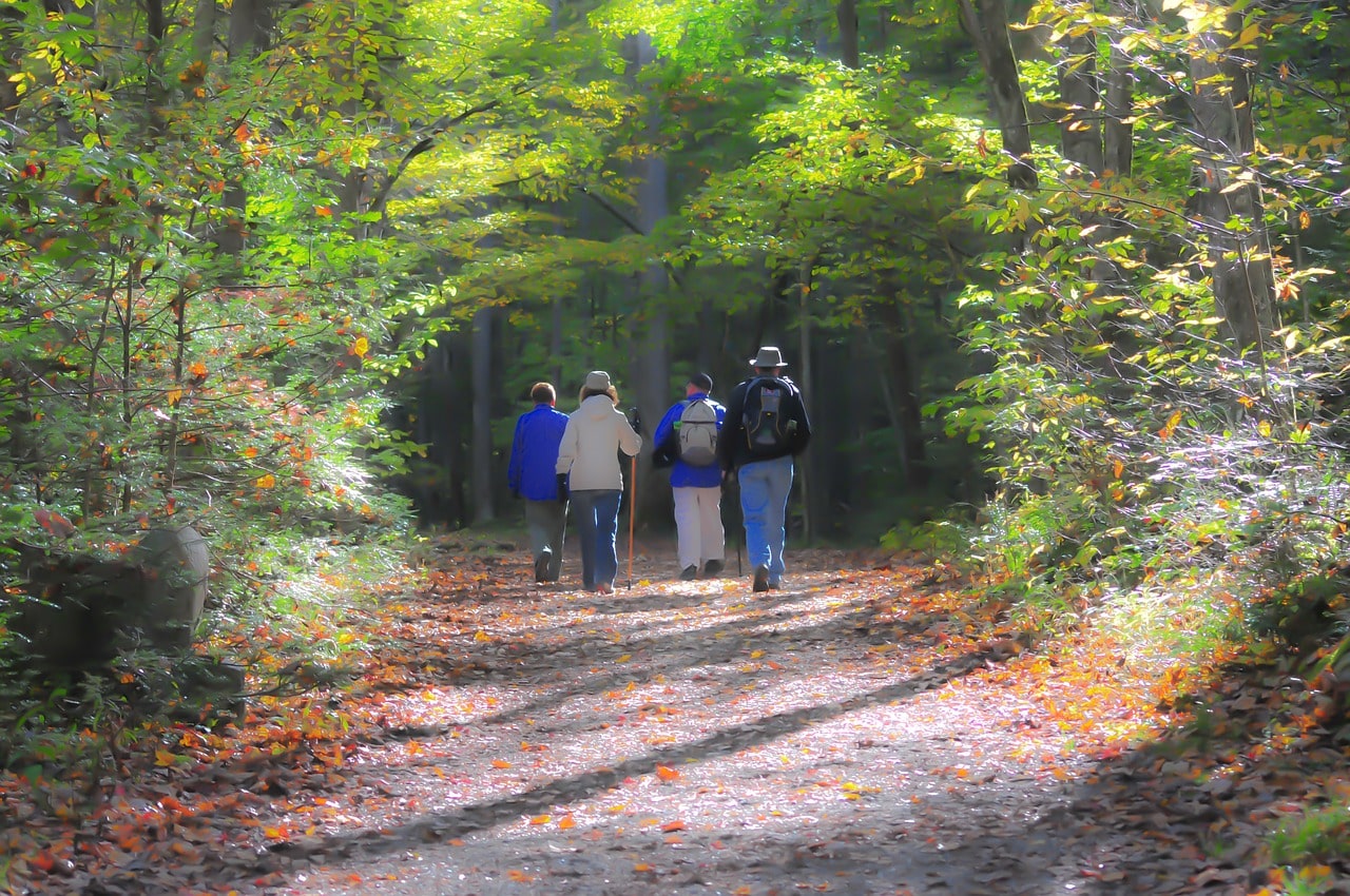 מסלולי טיול מומלצים בנתניה