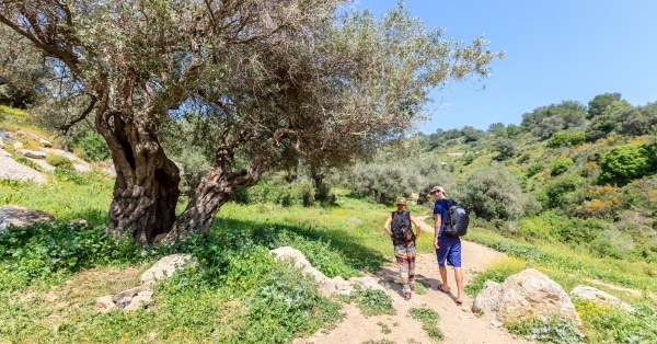 אפשרות ראשונה – טיול הליכה רגלי