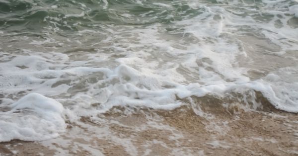 מדוע Rip Curl הוא המותג המוביל לגולשים בישראל